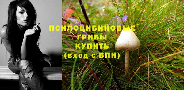 молекула духа Алексин