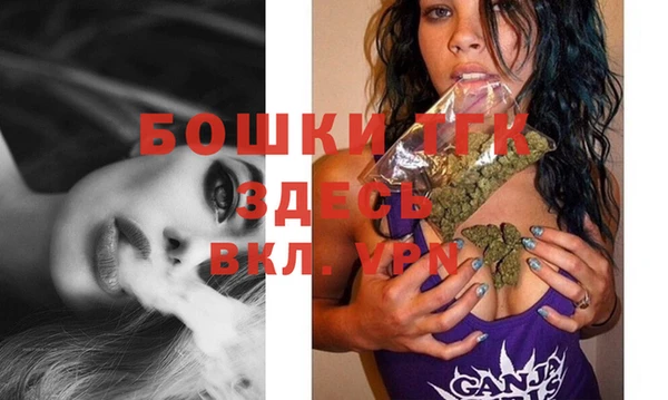 молекула духа Алексин