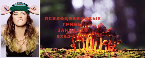 молекула духа Алексин