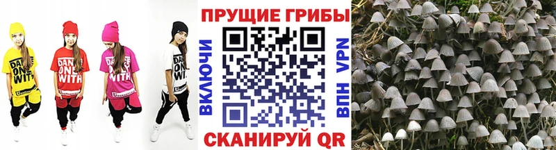 Псилоцибиновые грибы ЛСД  Гагарин 
